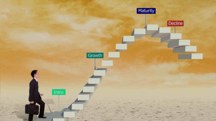 O Que é Ciclo de Vida do Produto e Como Usar Isso na Prática 6 ciclo de vida do produto e1660439404606